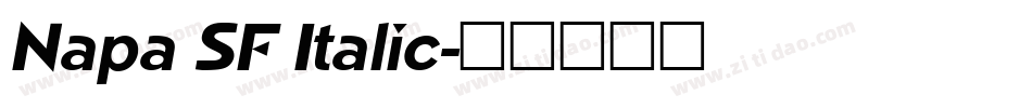 Napa SF Italic字体转换
